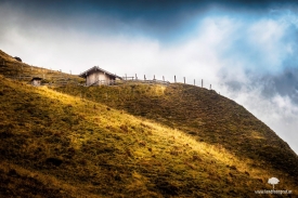 Herbst auf der Alm