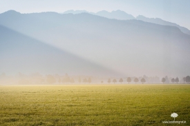 Morgennebel