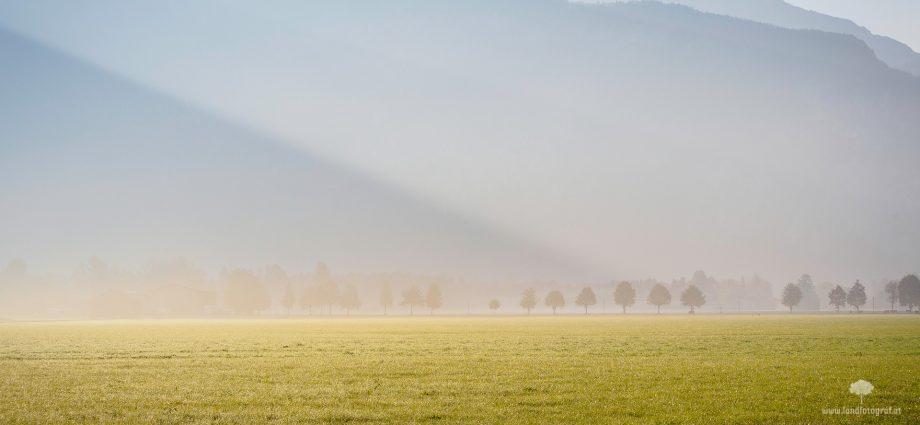 Morgennebel