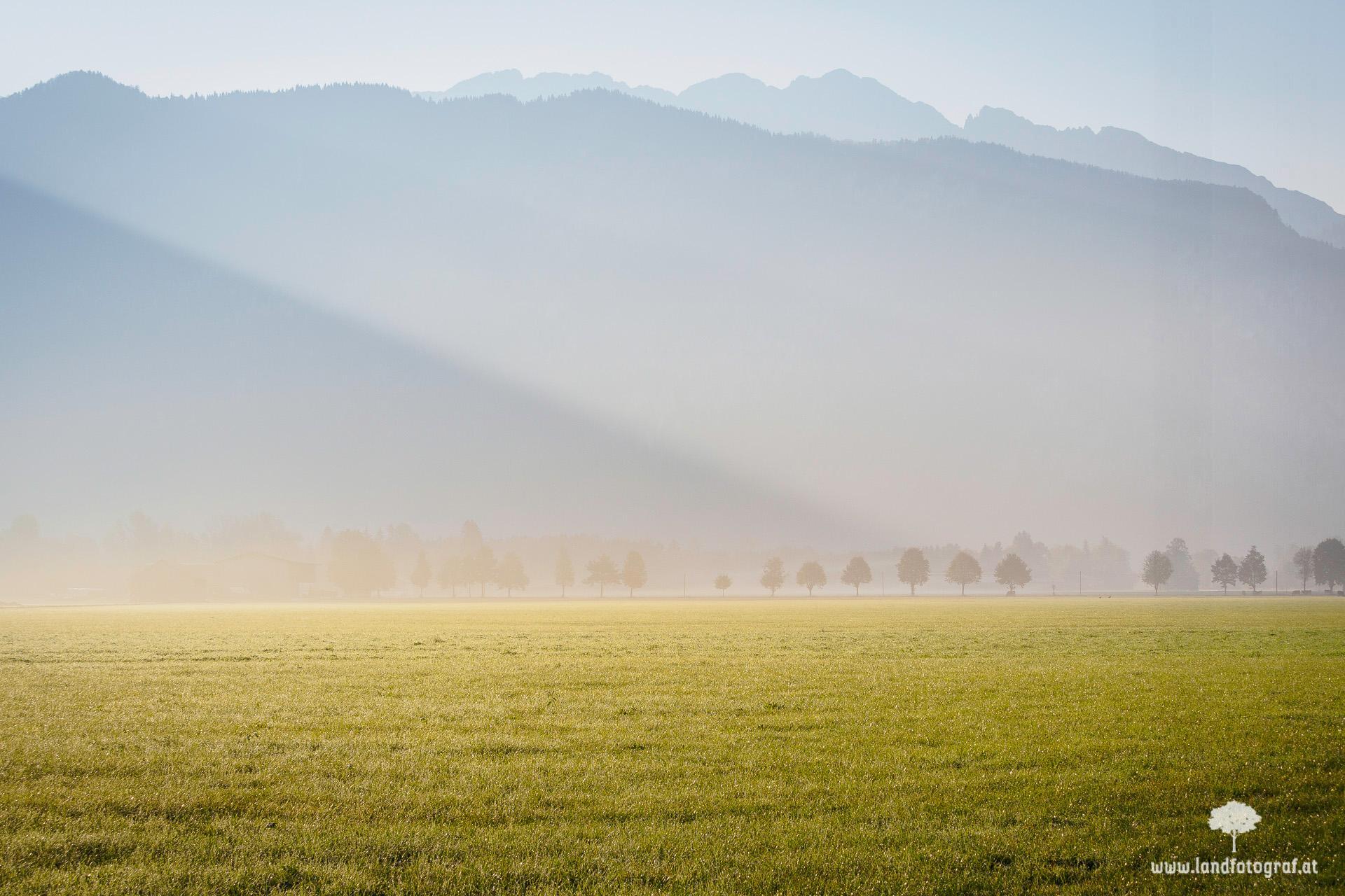 Morgennebel