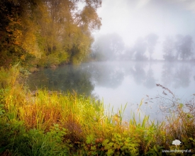 Magischer Morgennebel überm Kreutsee in Kiefersfelden.