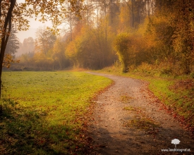 Fantastisches Herbstlicht in Kiefersfelden. Schaut aus wie ein Gemälde, oder?